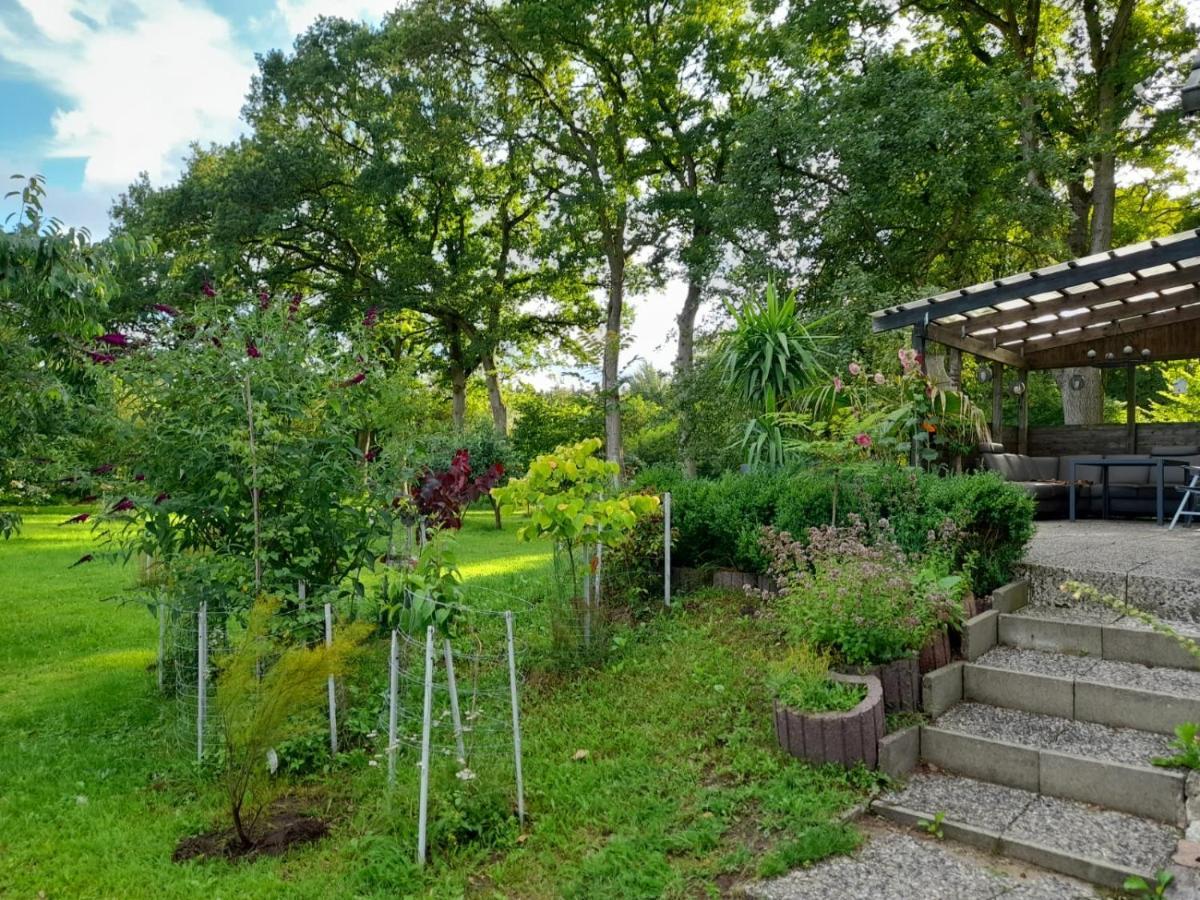 Haus Wald Und Wiese Wohnung Wald Ehndorf Экстерьер фото