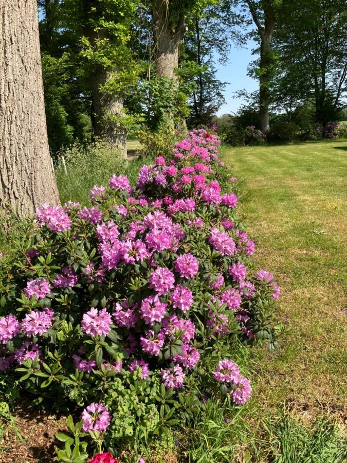 Haus Wald Und Wiese Wohnung Wald Ehndorf Экстерьер фото